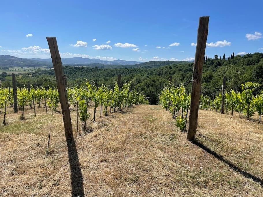 Luxury 1-Bedroom House With The Pool In Tuscany. Anghiari Eksteriør bilde