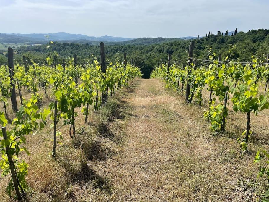 Luxury 1-Bedroom House With The Pool In Tuscany. Anghiari Eksteriør bilde
