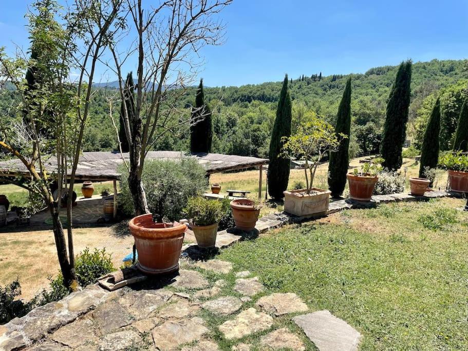 Luxury 1-Bedroom House With The Pool In Tuscany. Anghiari Eksteriør bilde