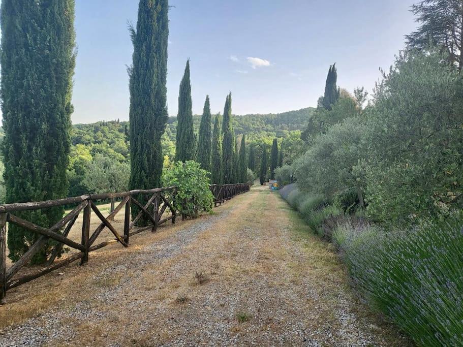 Luxury 1-Bedroom House With The Pool In Tuscany. Anghiari Eksteriør bilde
