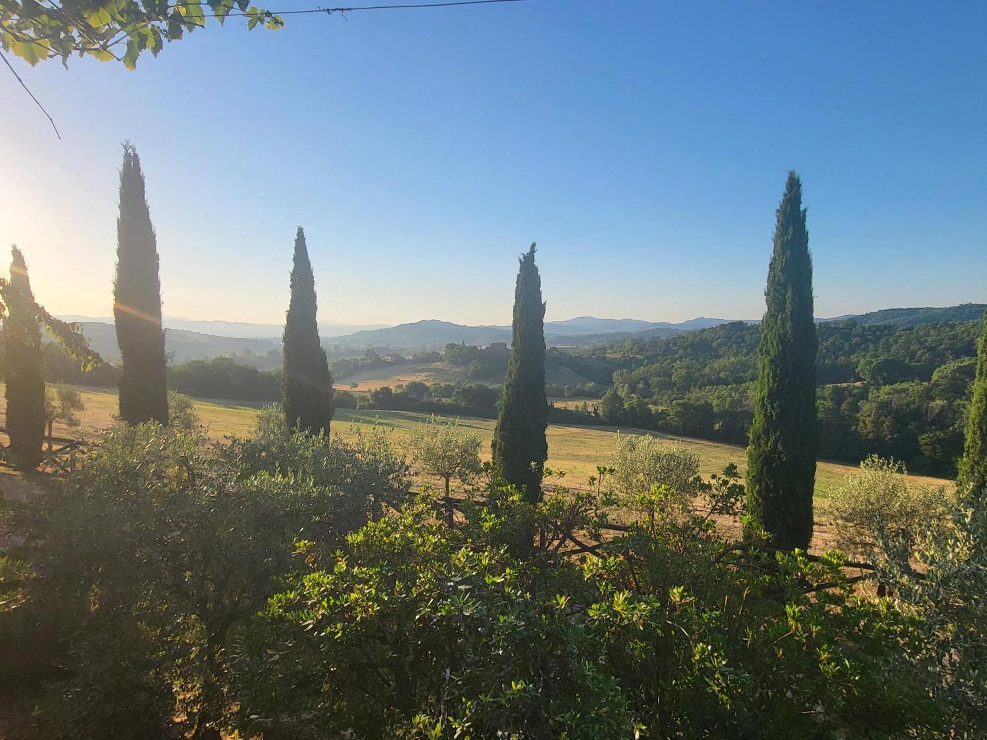 Luxury 1-Bedroom House With The Pool In Tuscany. Anghiari Eksteriør bilde